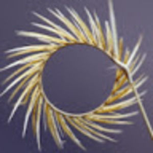 Meet your Posher, Alanna